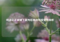 司法公正视域下裁判结果的可接受性探析