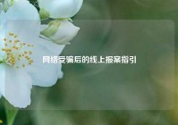 网络受骗后的线上报案指引