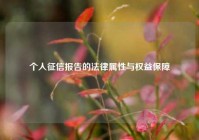 个人征信报告的法律属性与权益保障