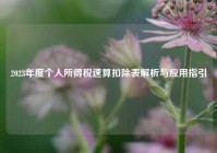2023年度个人所得税速算扣除表解析与应用指引