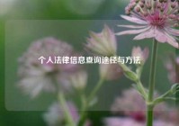 个人法律信息查询途径与方法