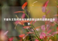 不是车主如何查询车辆违章记录的法律途径分析