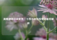 离婚律师咨询免费二十四小时在线电话服务解析