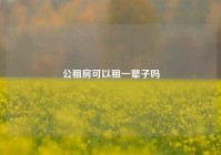 公租房可以租一辈子吗