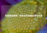 民间借贷律师：您身边的金融法律守护者