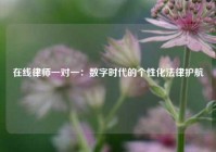 在线律师一对一：数字时代的个性化法律护航