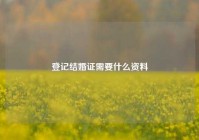 登记结婚证需要什么资料