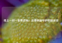 线上一对一免费咨询：法律权益守护的新途径