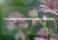 个人信用报告查询官网的法律意义与规范路径