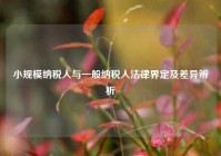 小规模纳税人与一般纳税人法律界定及差异辨析