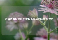 论消费者权益保护中投诉渠道的层级与效力