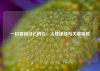 一招要回自己的钱：法律途径与关键策略