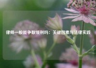 律师一般能争取缓刑吗：关键因素与法律实践