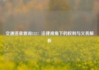 交通违章查询123：法律视角下的权利与义务解析