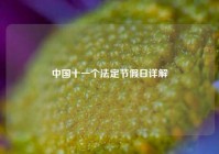 中国十一个法定节假日详解