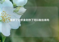 离职了公积金封存了可以取出来吗