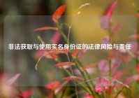 非法获取与使用实名身份证的法律风险与责任