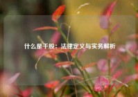  什么是干股：法律定义与实务解析
