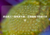 跨省抓人一般有多大罪：法律视角下的罪行评估