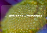 三人合伙股东协议书法律解析与制定要旨