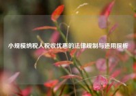 小规模纳税人税收优惠的法律规制与适用探析
