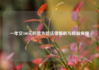 一年交100元的意外险法律解析与权益保障