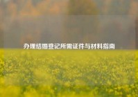 办理结婚登记所需证件与材料指南