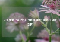 关于所谓“黑户百分百可借网贷”的法律风险剖析