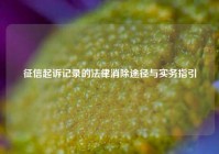 征信起诉记录的法律消除途径与实务指引