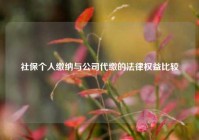 社保个人缴纳与公司代缴的法律权益比较