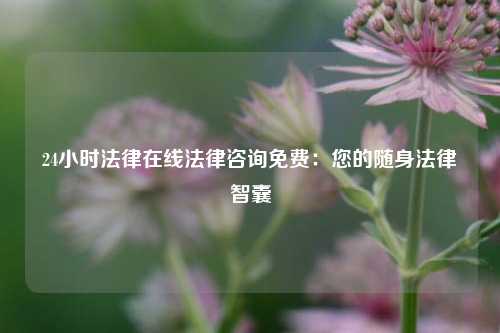 24小时法律在线法律咨询免费：您的随身法律智囊