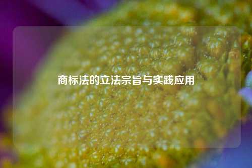 商标法的立法宗旨与实践应用