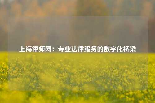 上海律师网：专业法律服务的数字化桥梁