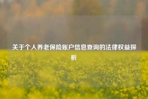 关于个人养老保险账户信息查询的法律权益探析