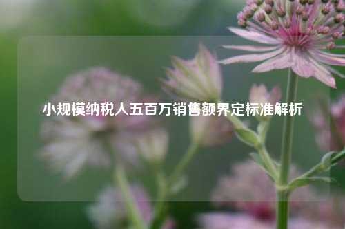 小规模纳税人五百万销售额界定标准解析