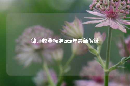 律师收费标准2020年最新解读