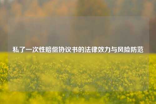 私了一次性赔偿协议书的法律效力与风险防范