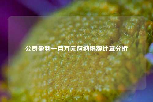 公司盈利一百万元应纳税额计算分析