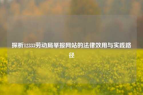 探析12333劳动局举报网站的法律效用与实践路径