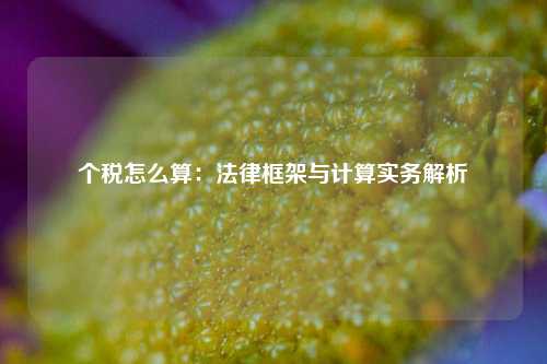 个税怎么算:法律框架与计算实务解析