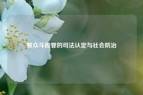 聚众斗殴罪的司法认定与社会防治