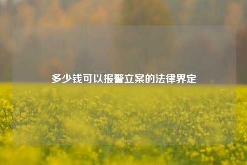 多少钱可以报警立案的法律界定