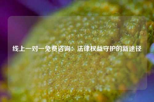 线上一对一免费咨询：法律权益守护的新途径