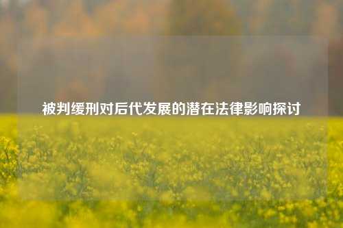 被判缓刑对后代发展的潜在法律影响探讨
