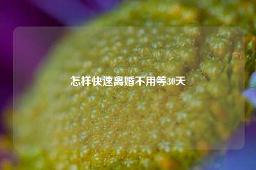 怎样快速离婚不用等30天