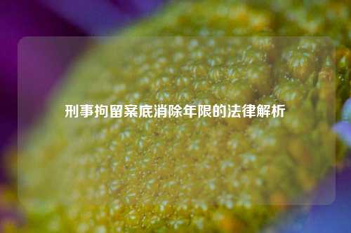 刑事拘留案底消除年限的法律解析