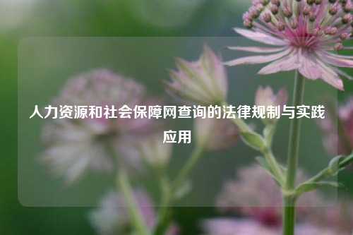 人力资源和社会保障网查询的法律规制与实践应用