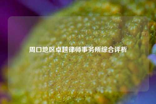周口地区卓越律师事务所综合评析