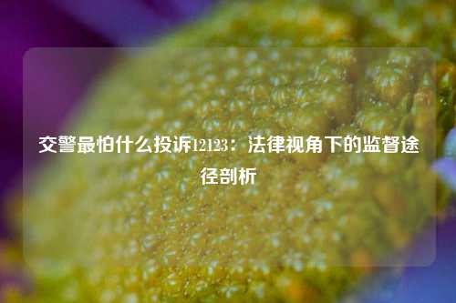 交警最怕什么投诉12123:法律视角下的监督途径剖析