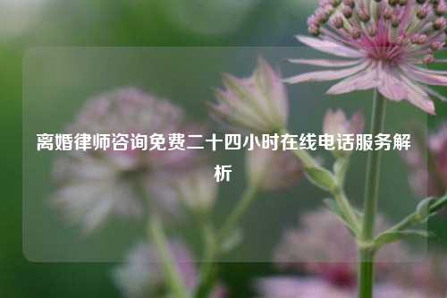 离婚律师咨询免费二十四小时在线电话服务解析